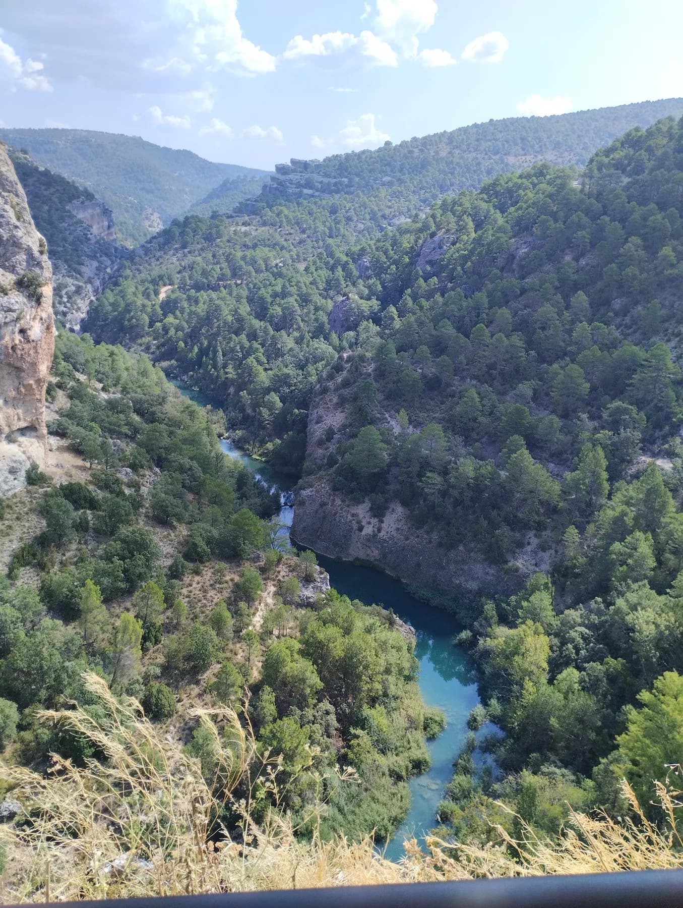 La hoz del río Júcar encajada entre pinares y paredes de roca de la Serranía de Cuenca